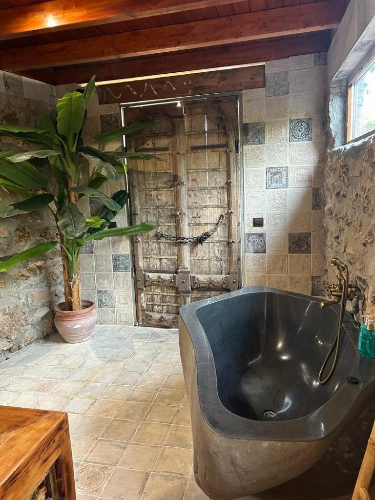 Cortijo Boutique Hotel 3*